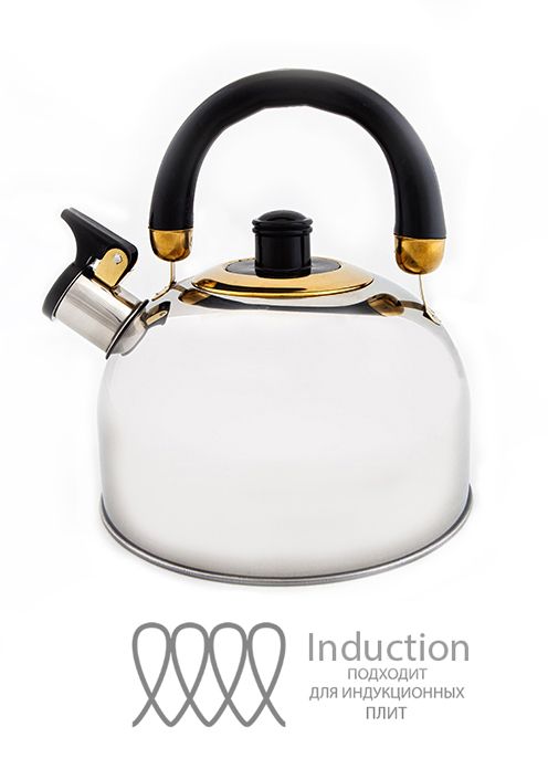 Kettle 2.5l HM 5519 with a whistle